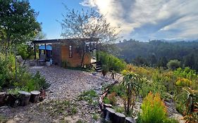 Melody Hills